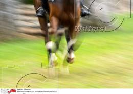 Pferdesport Reiten Military