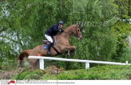 Pferdesport Reiten Springreiten