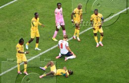 HIGHLIGHTS