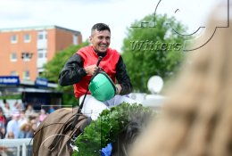 Pferdesport Reiten Galopp