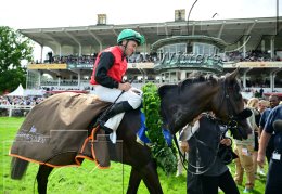 Pferdesport Reiten Galopp