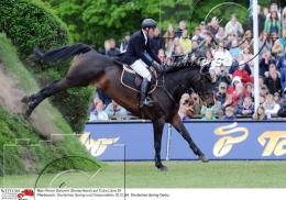 Pferdesport Reiten Springreiten
