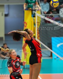 Volleyball