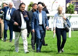 Pferdesport Reiten Galopp