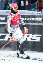 Wintersport Ski Alpin