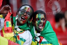      21.11.2022 | FIFA Fussball WM 2022 Gruppenphase Senegal - Niederlande