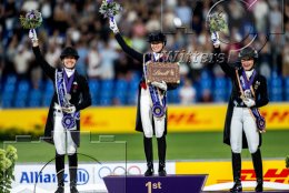 Pferdesport Reiten Springreiten