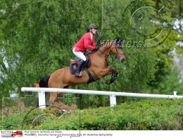 Pferdesport Reiten Springreiten