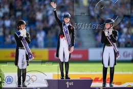 Pferdesport Reiten Springreiten