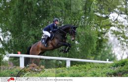 Pferdesport Reiten Springreiten