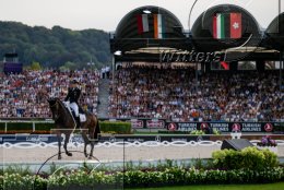 Pferdesport Reiten Springreiten