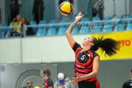 Volleyball