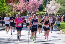              26.04.2026 | Leichtathletik Haspa Marathon Hamburg