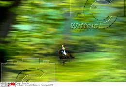 Pferdesport Reiten Military