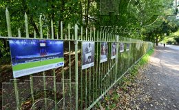 Fussball