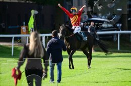 Pferdesport Reiten Galopp