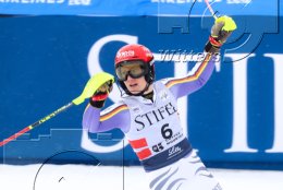 Wintersport Ski Alpin