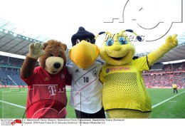 Fussball