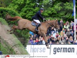 Pferdesport Reiten Springreiten