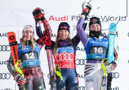 Wintersport Ski Alpin