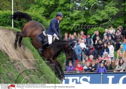 Pferdesport Reiten Springreiten