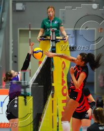Volleyball