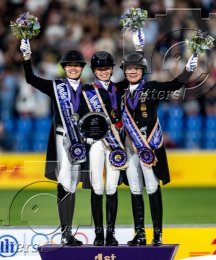 Pferdesport Reiten Springreiten