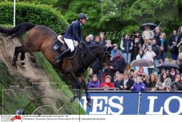 Pferdesport Reiten Springreiten