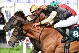             02.07.2026 | Pferdesport Galopp Derby Hamburg-Horn 2026