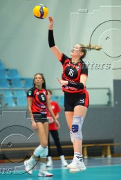 Volleyball