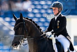 Pferdesport Reiten Springreiten
