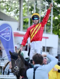 Pferdesport Reiten Galopp