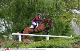 Pferdesport Reiten Springreiten