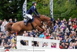 Pferdesport Reiten Springreiten