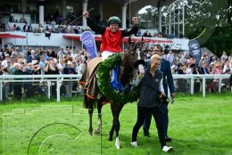 Pferdesport Reiten Galopp