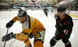 Wintersport Eishockey