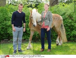 Pferdesport Reiten Springreiten