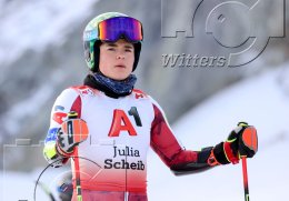 Wintersport Ski Alpin