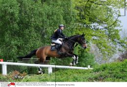 Pferdesport Reiten Springreiten
