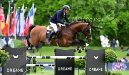 Pferdesport Reiten