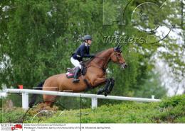 Pferdesport Reiten Springreiten
