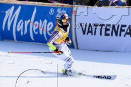 Wintersport Ski Alpin