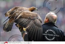 Fussball