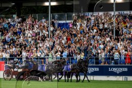 Pferdesport Reiten Springreiten