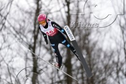 Wintersport Skispringen