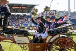 Pferdesport Reiten Springreiten