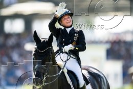 Pferdesport Reiten Springreiten