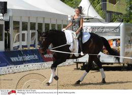Pferdesport Reiten Springreiten