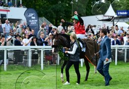 Pferdesport Reiten Galopp