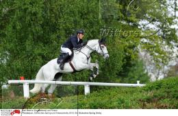 Pferdesport Reiten Springreiten